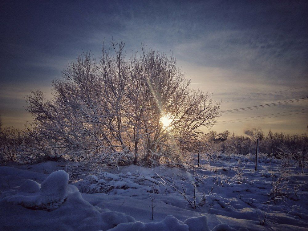 Фотография автора Виктор Конев
