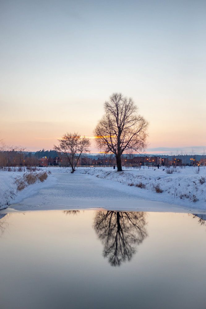 Photograph by Евгения Бочарова