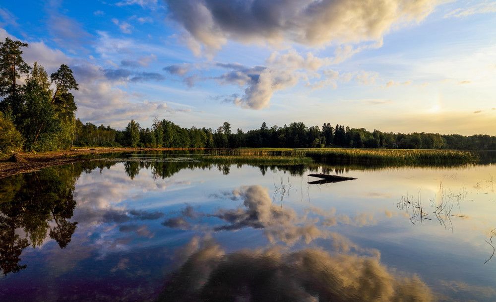 Photograph by Михаил Бояркин