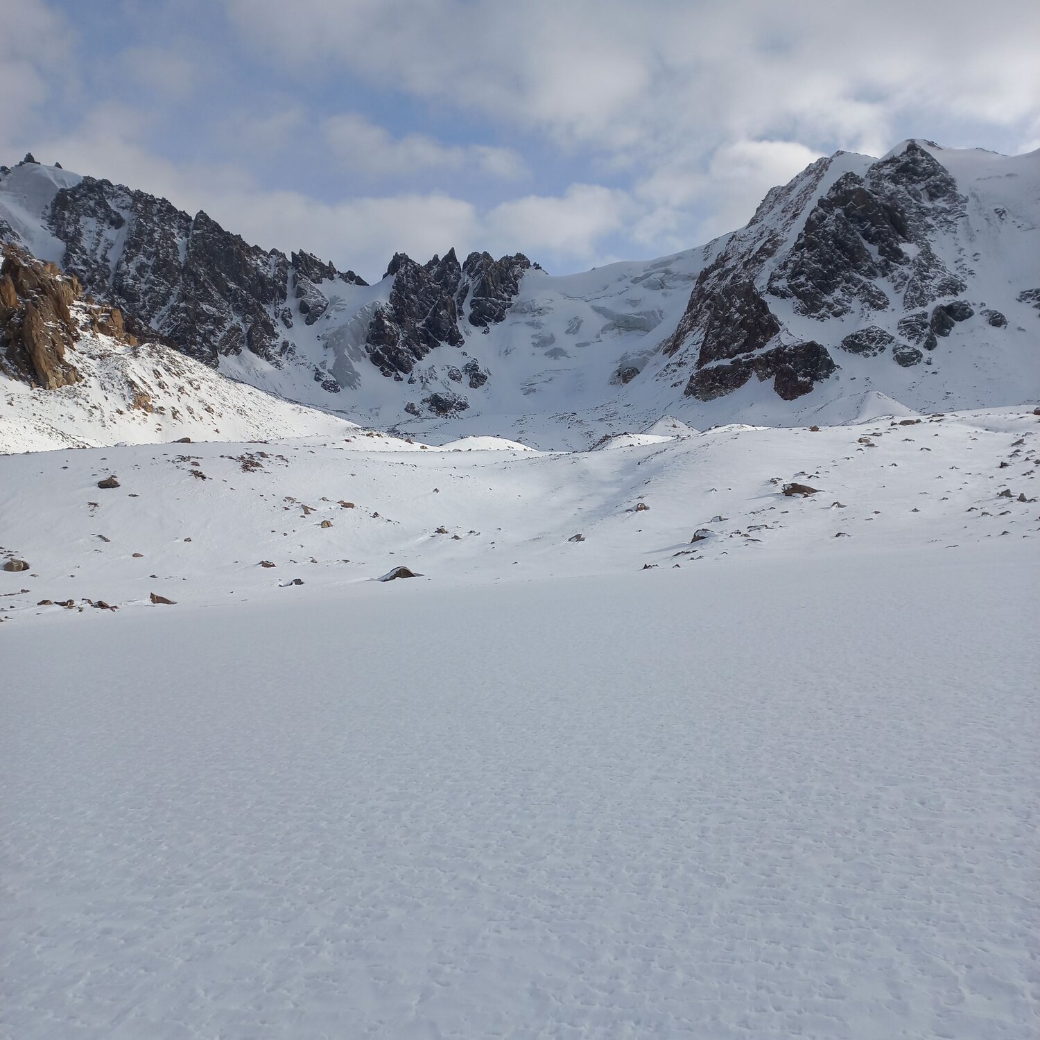 Photo #6989116