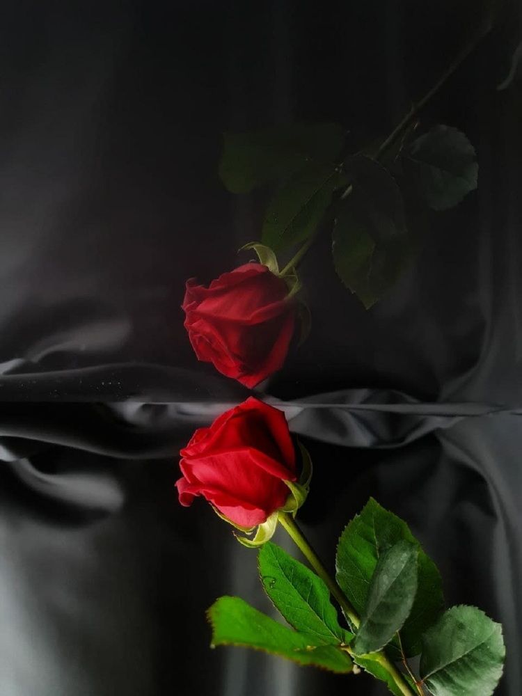 Photograph by Nadezhda Antonenko