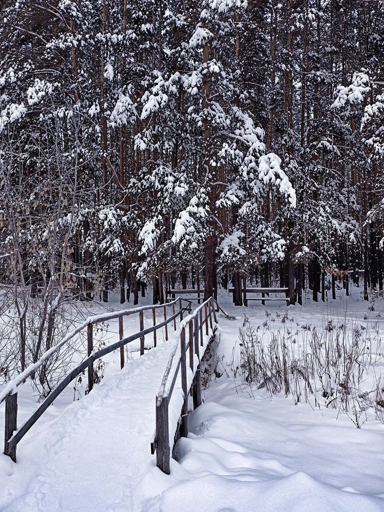 Фотография автора Татьяна Шахова
