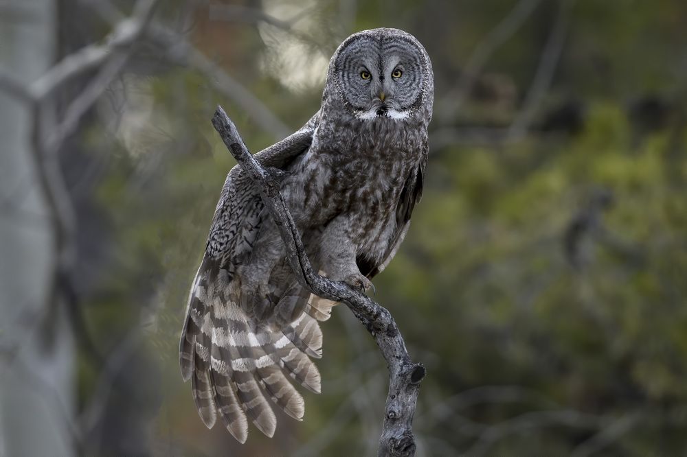 Photograph by Jorn Vangoidtsenhoven