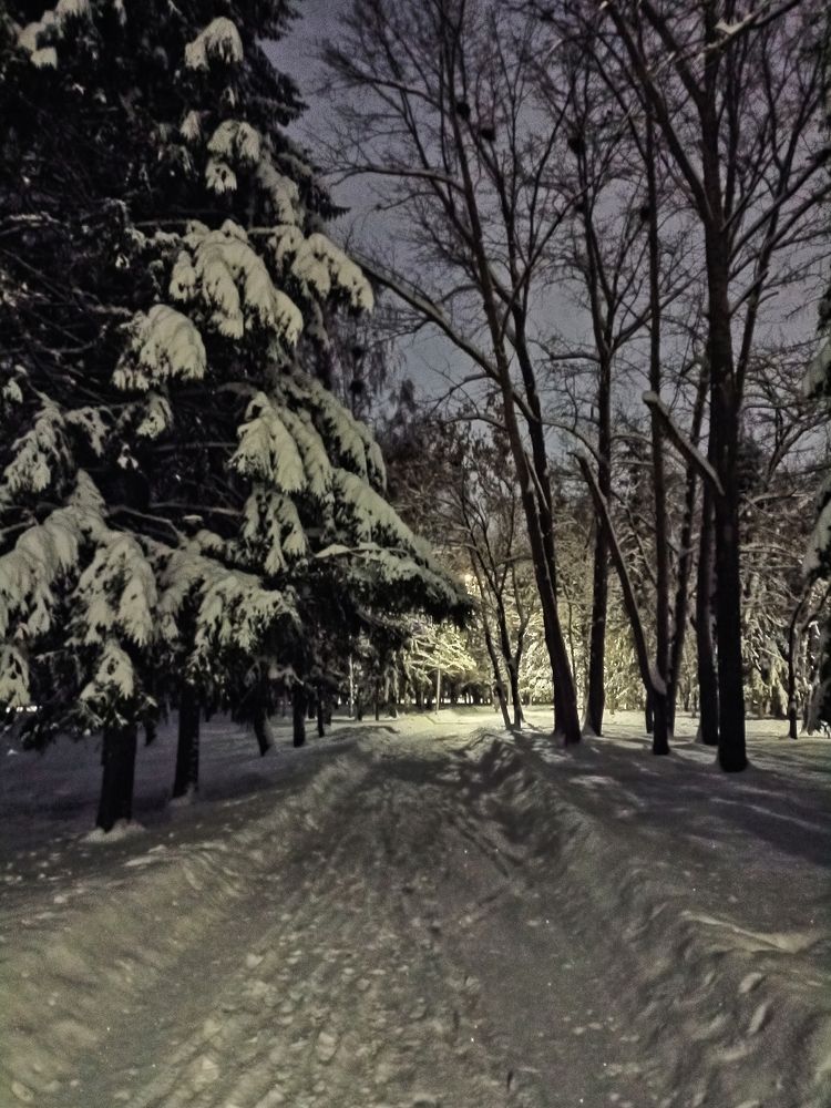 Фотография автора Татьяна Шахова