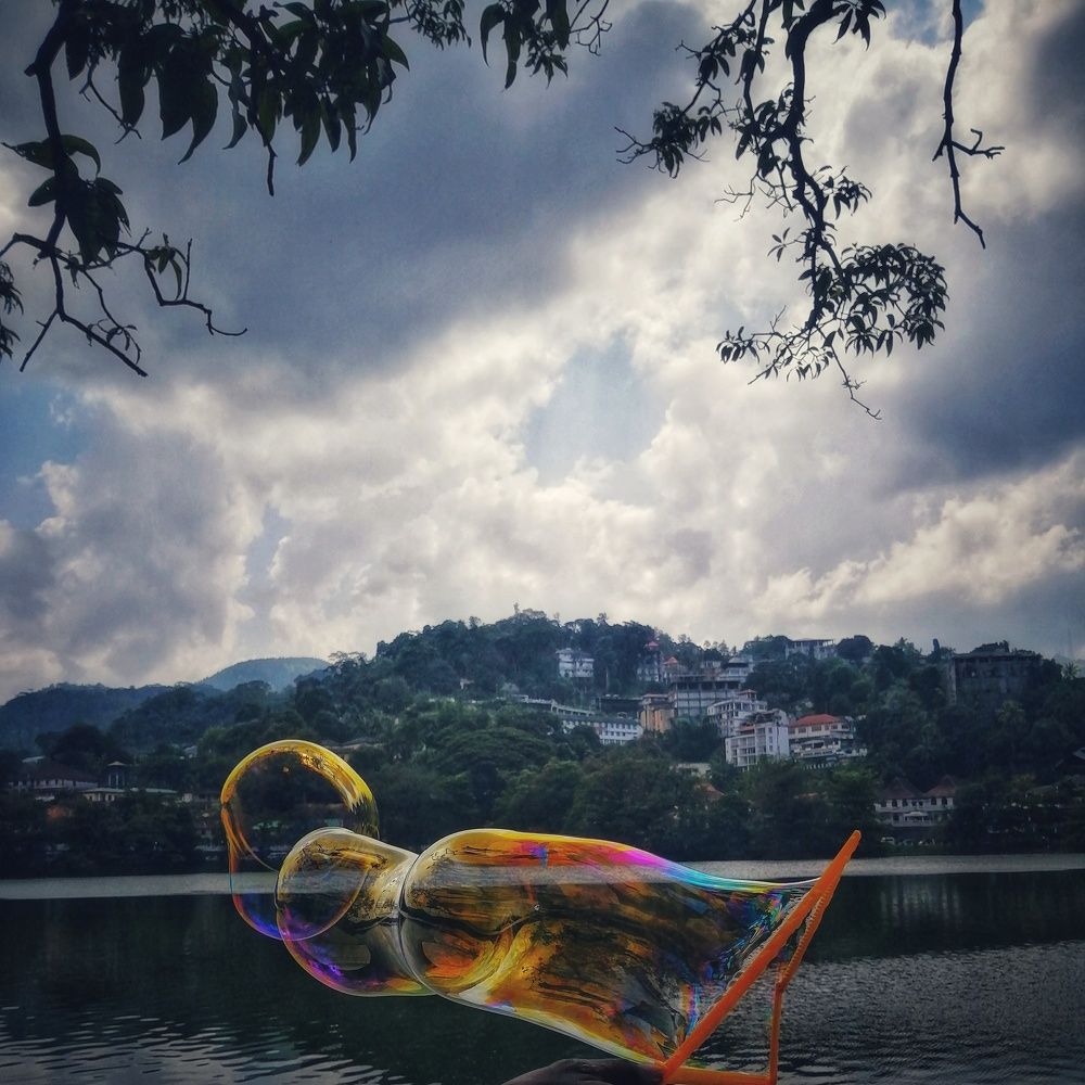 Photo #6989241