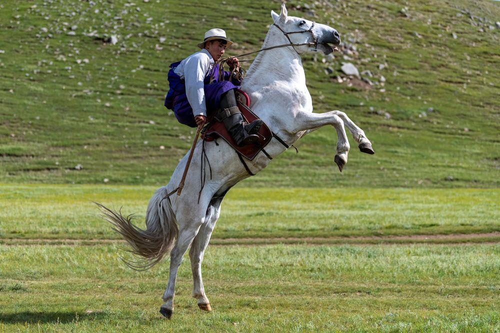 Photograph by Zorig Badarch