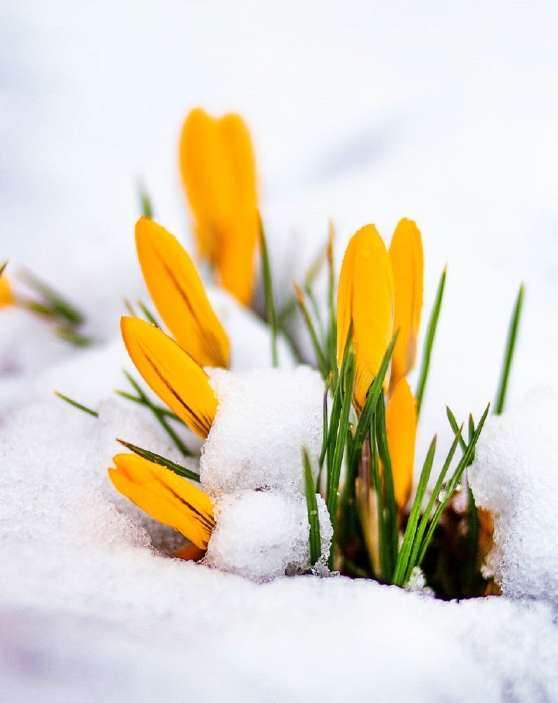 Photograph by Антонина Кузнецова