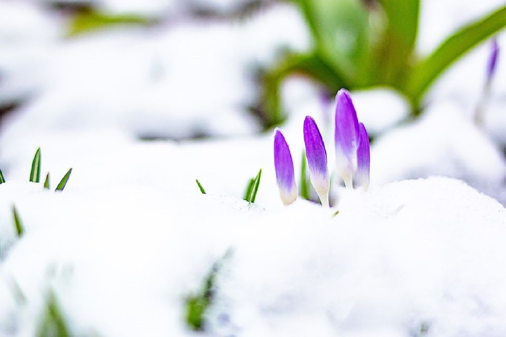 Photograph by Антонина Кузнецова