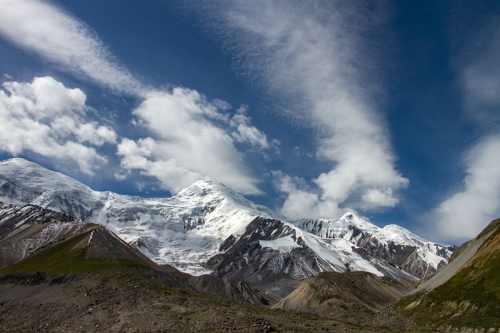 Природа под снегом