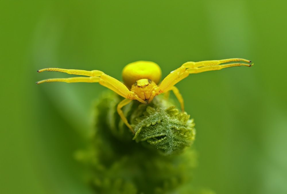 Photograph by Анатолий Васильев