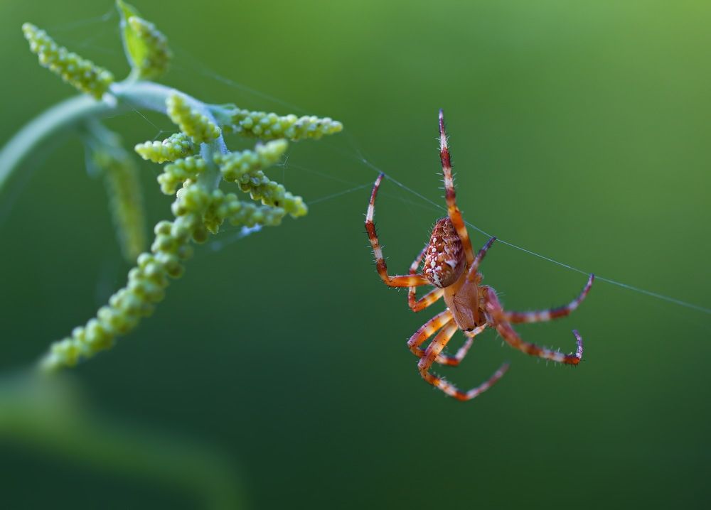 Photograph by Анатолий Васильев