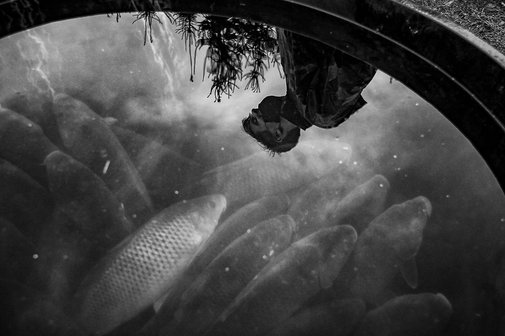 Photograph by Jan Jirkovský