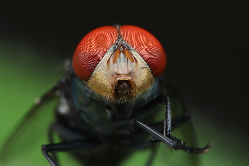 Photograph by AHlong