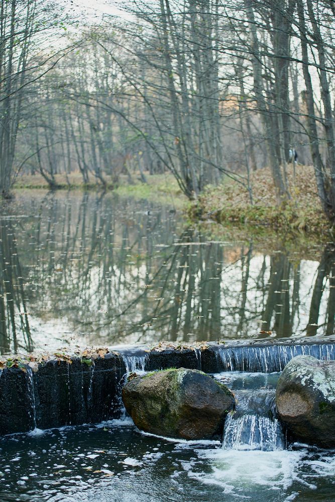 Фотография автора Евгений Вагуро