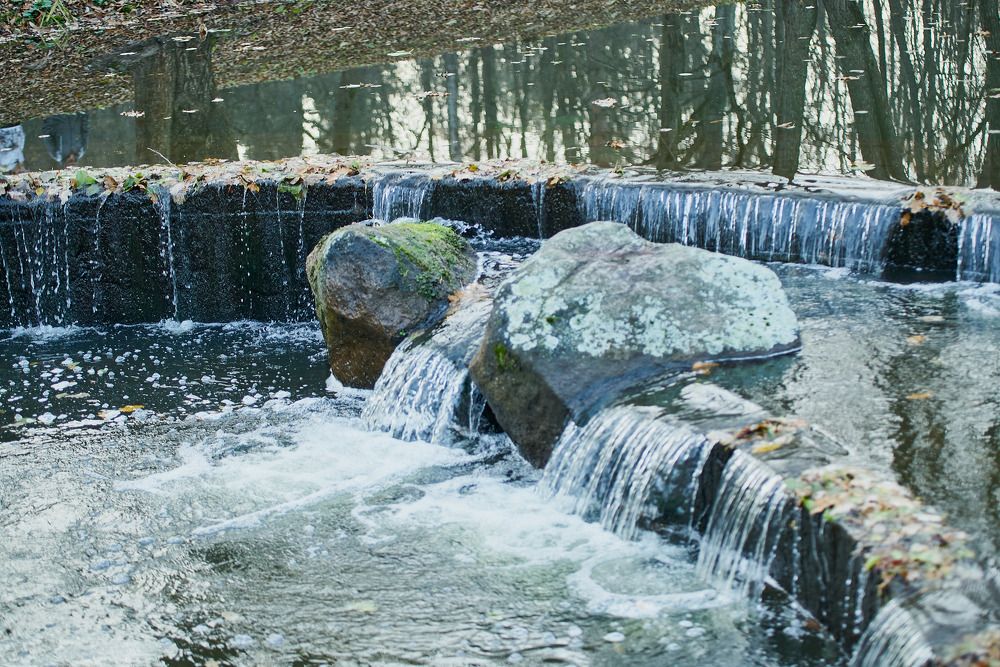 Фотография автора Евгений Вагуро