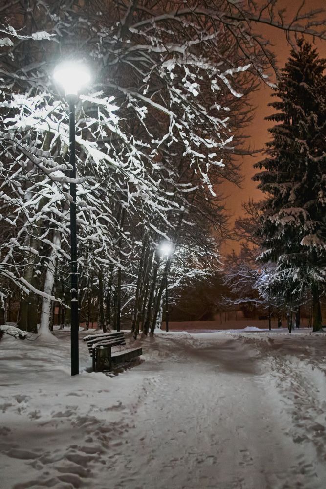 Фотография автора Евгений Вагуро