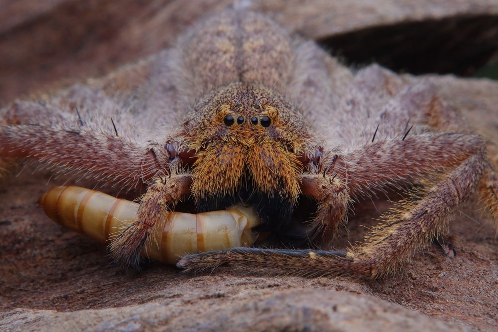 Photograph by zhiharn