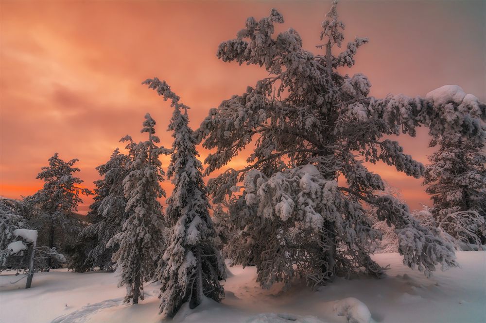 В зареве заката