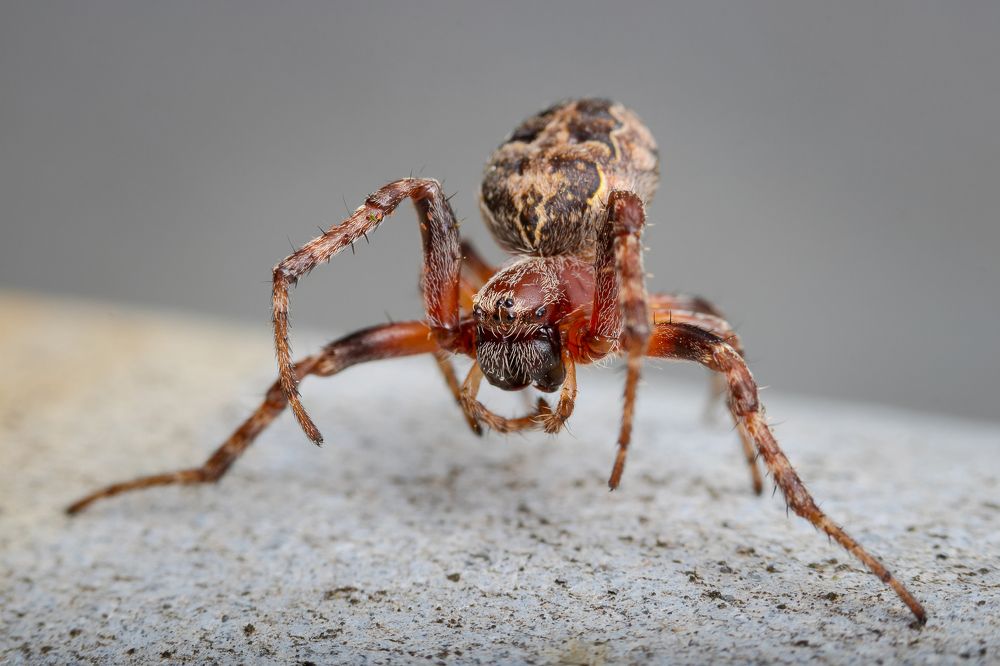 Photograph by Александр Рындин