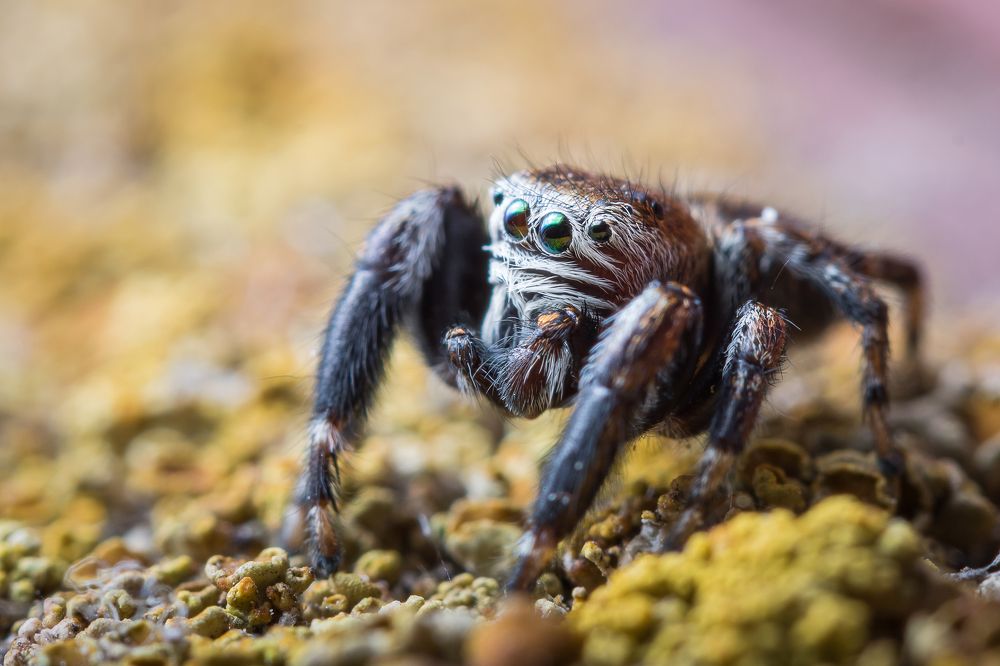 Photograph by Александр Рындин