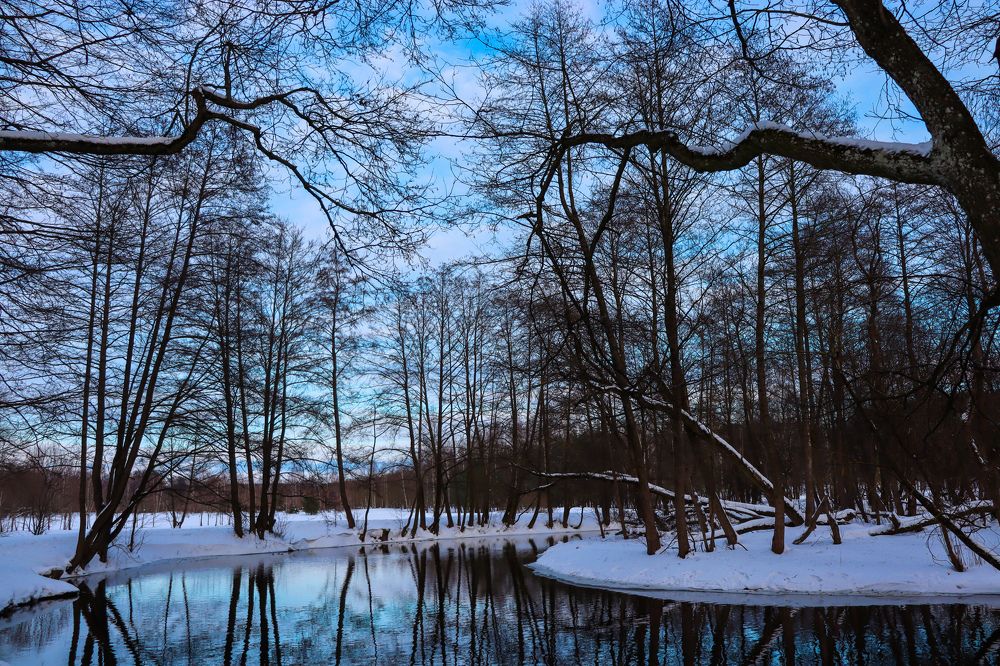 Зимний парк Дрозды. Беларусь.