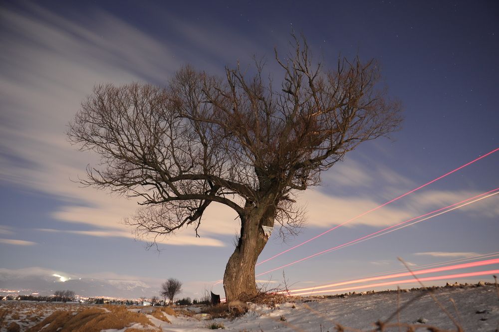 Photograph by Ivaylo Bozhinov