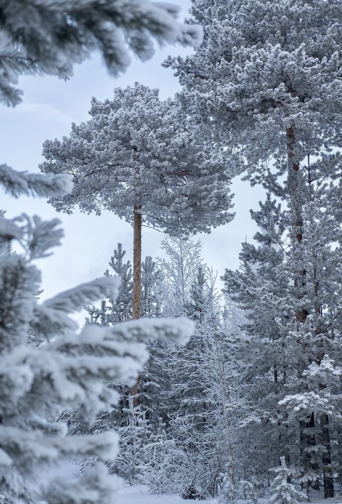 Photograph by Андрей Медведев