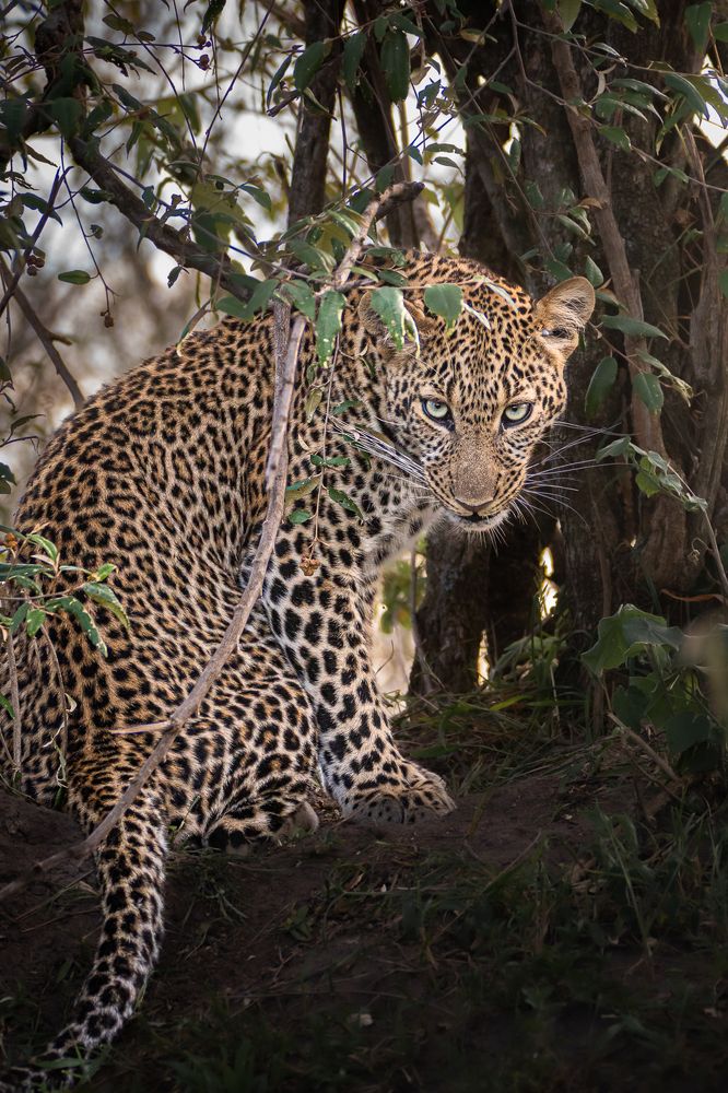 Photograph by Jayakumar MN