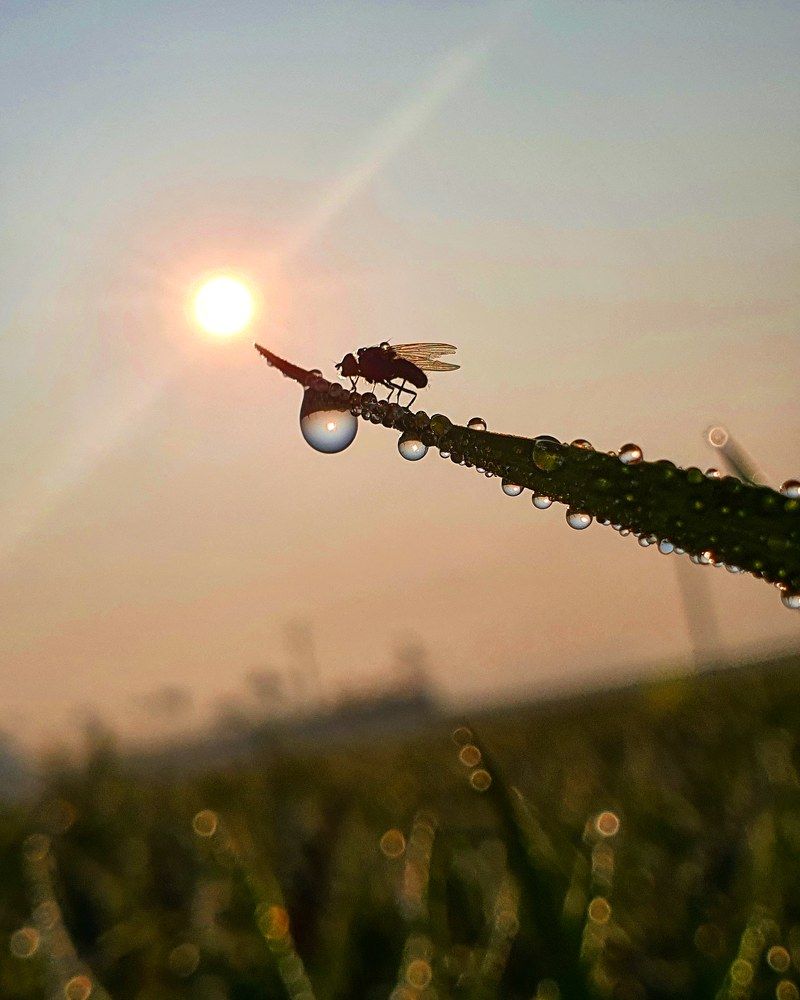 Photograph by Suhail khan