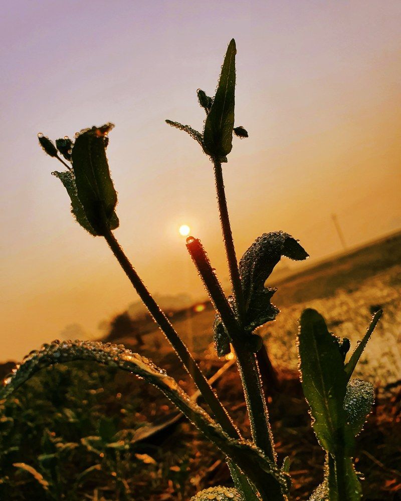 Photograph by Suhail khan