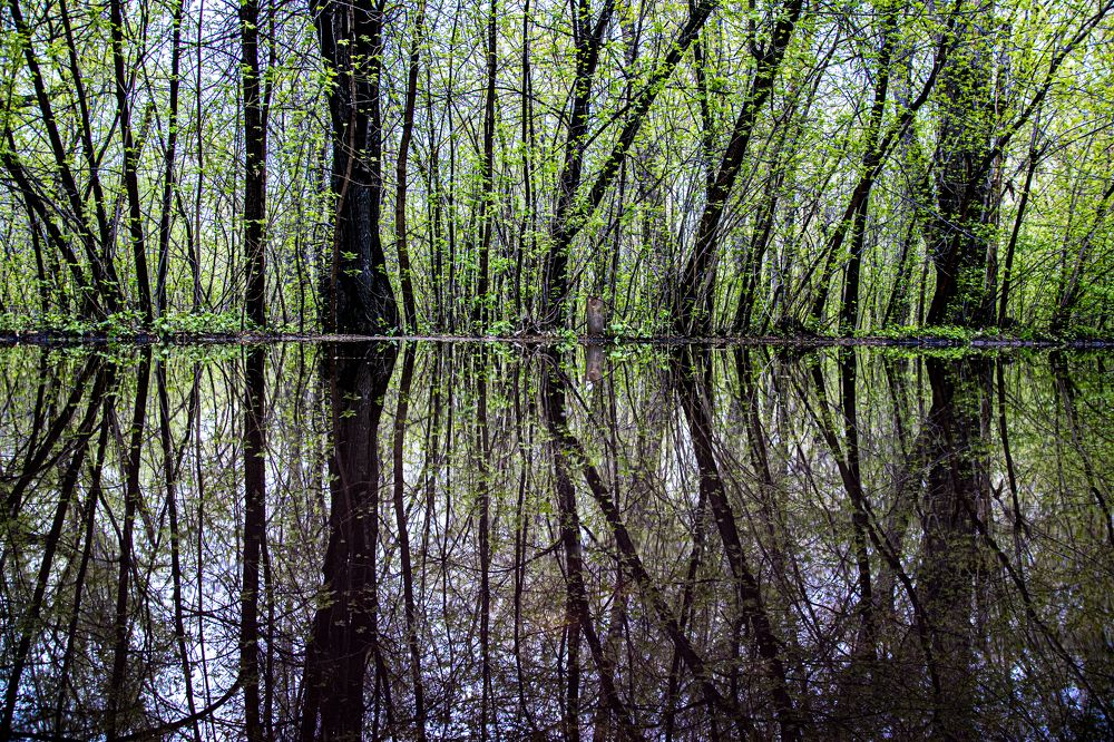 Photograph by Максим Маруда