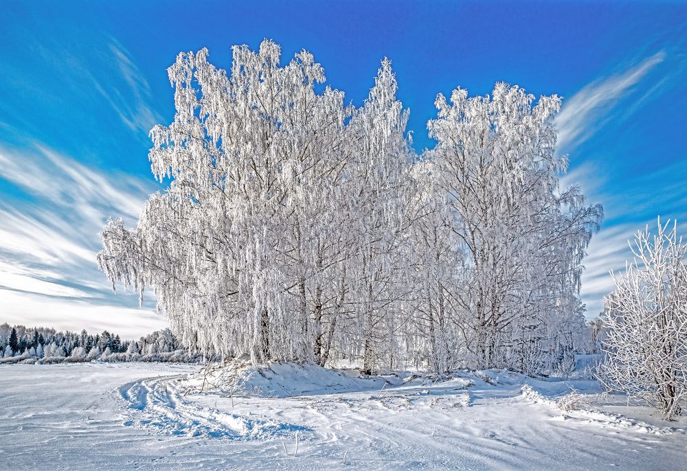 Дары Снежной Королевы.