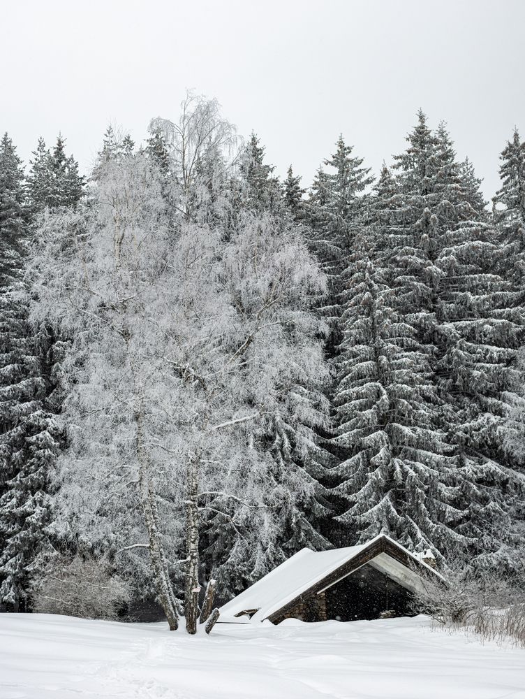 Фотография автора Alexander Dolapchiev