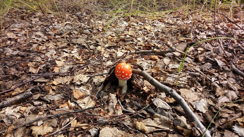 Photograph by Павел Дорогин