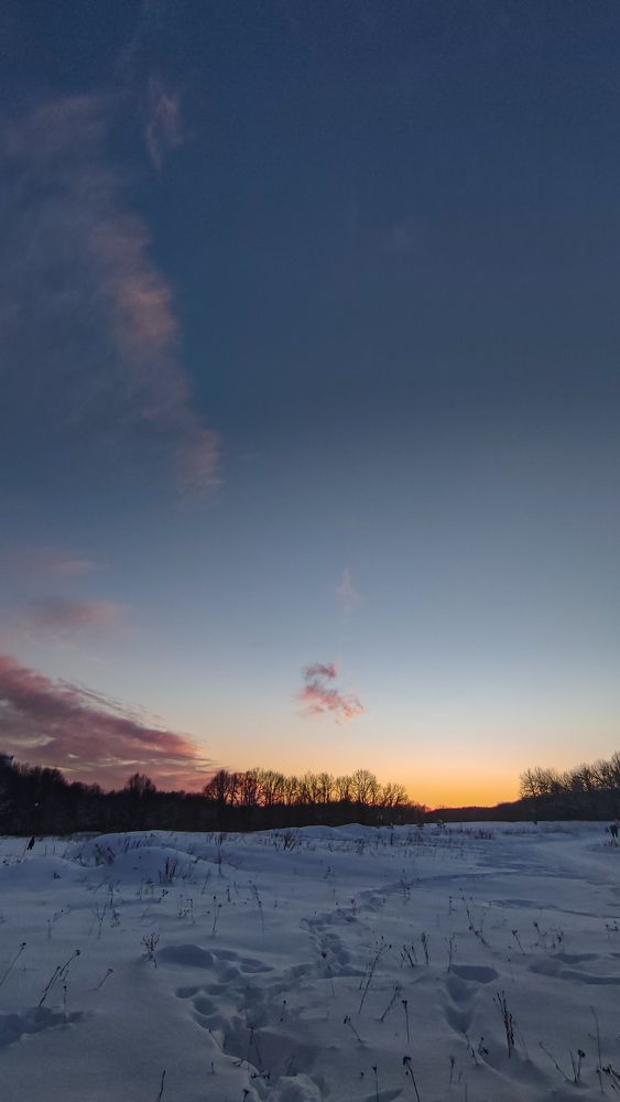 Photograph by Ирина Львова