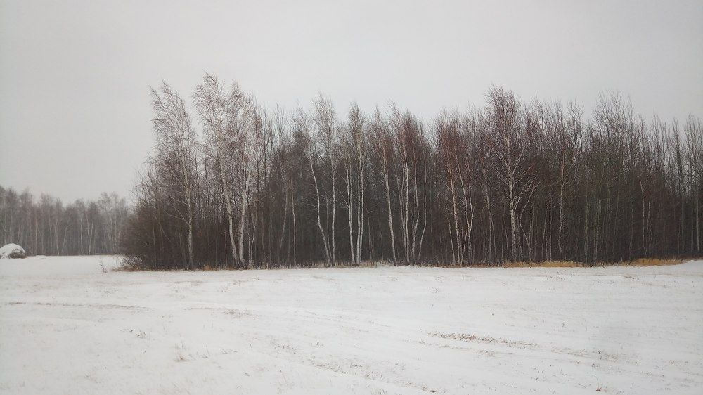 Photograph by Павел Дорогин