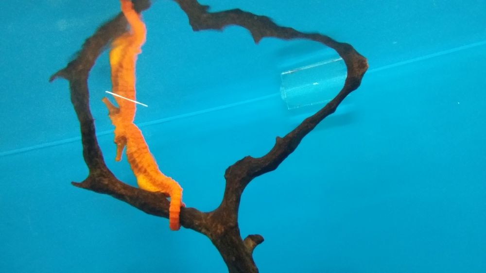Photo #6990193