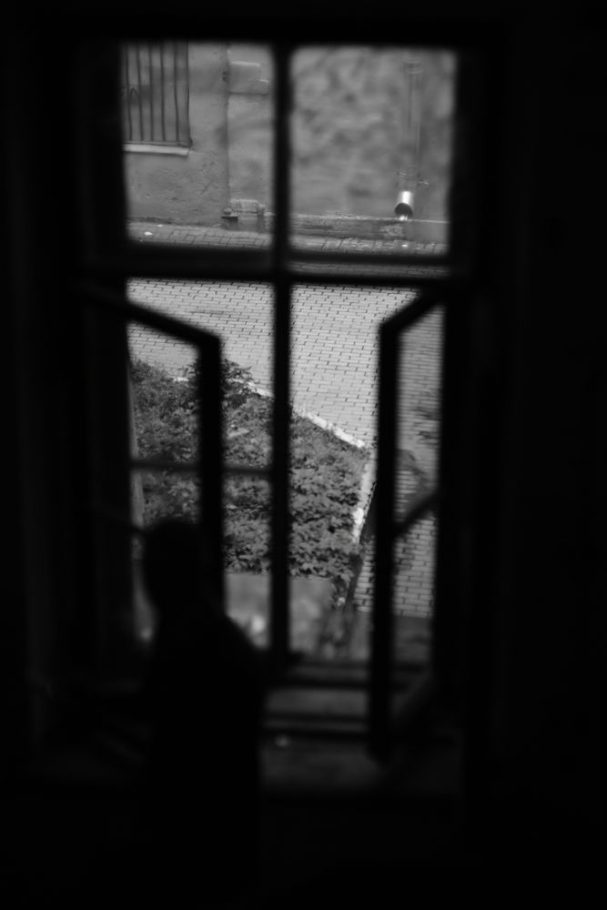 Photograph by Максим Хорошевский