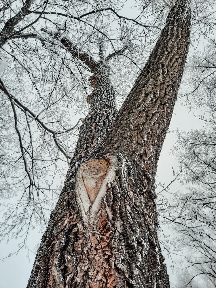 Photo #6990241