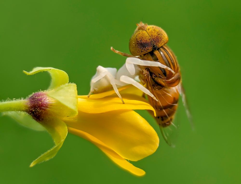 Photograph by Ananta Ghosh