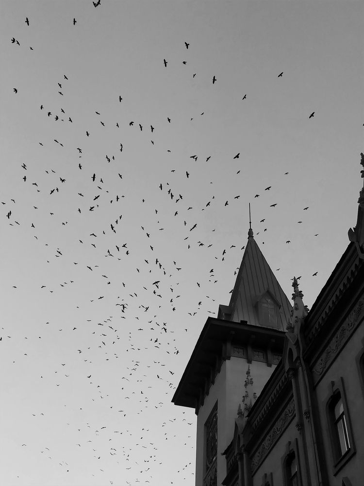 Photograph by Анастасия Бовкунова