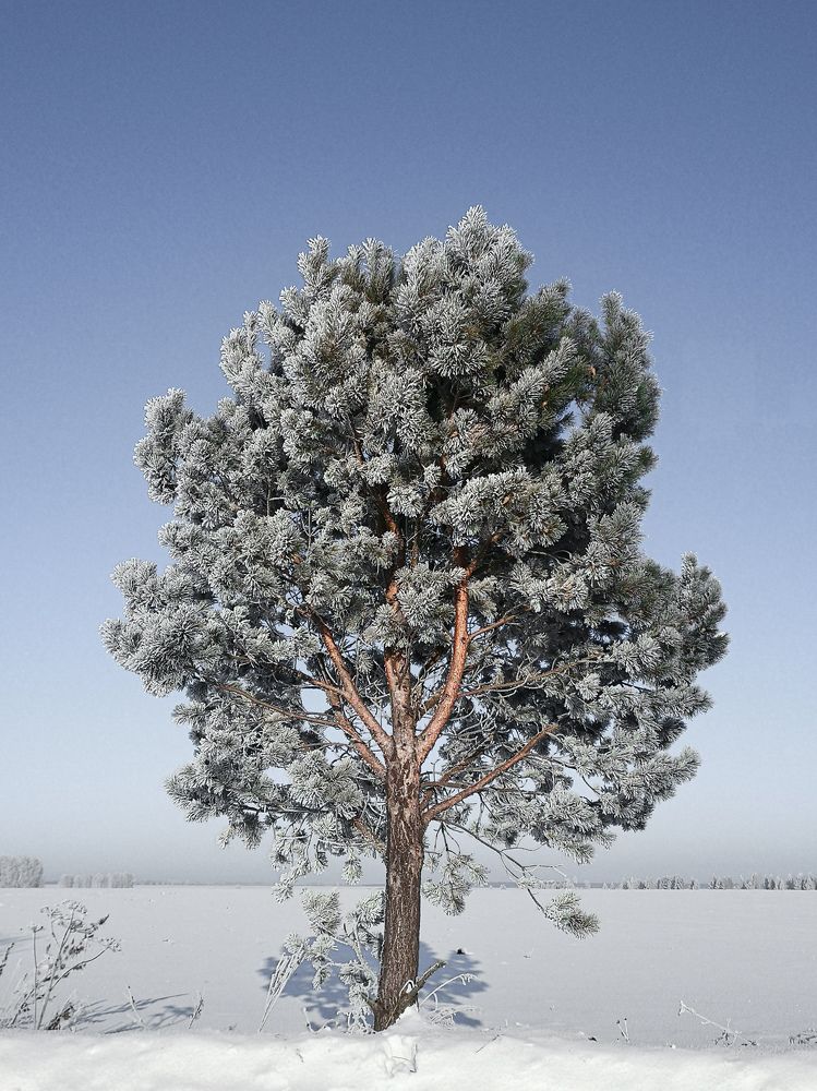 Photograph by Мотина Екатерина