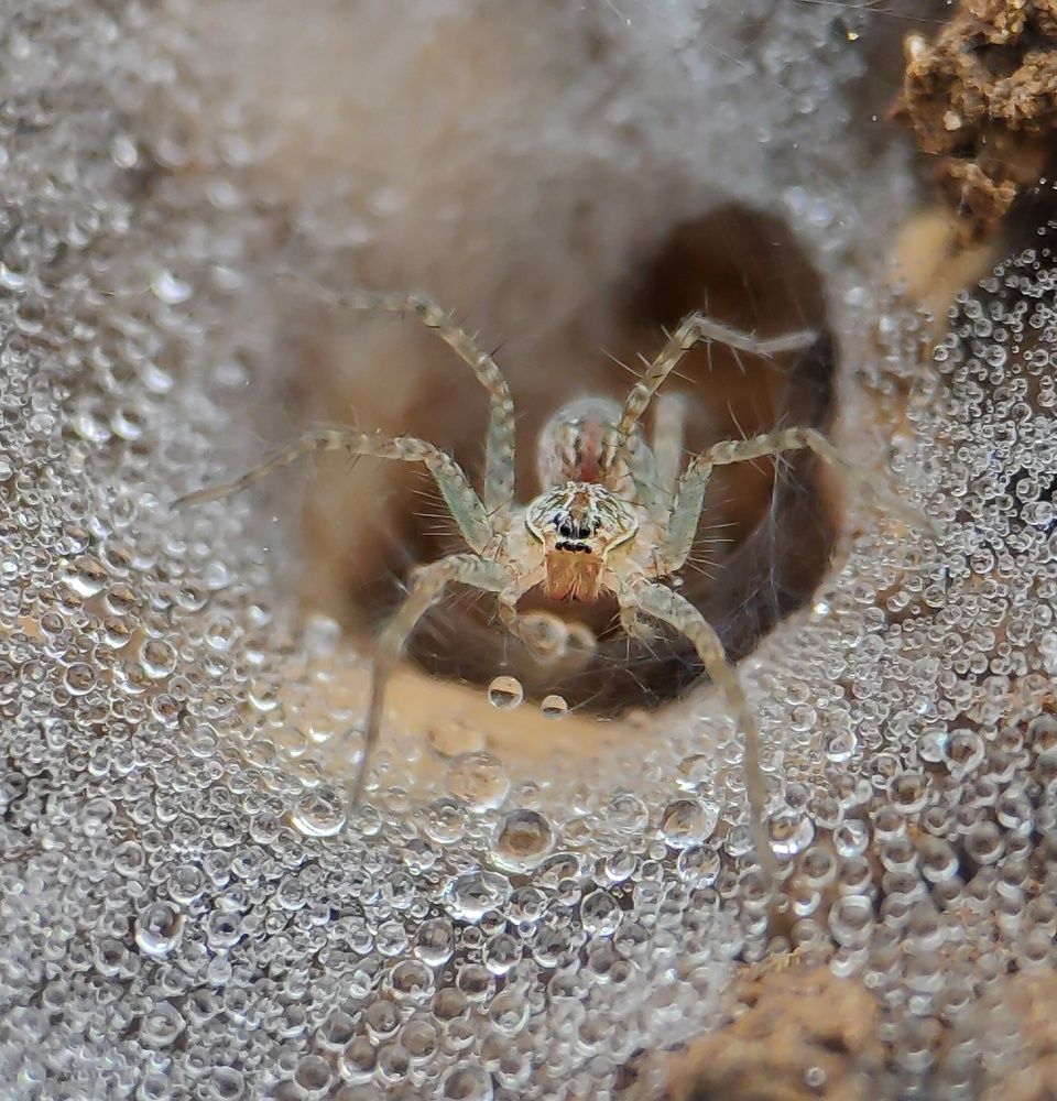 Photograph by Ananta Ghosh