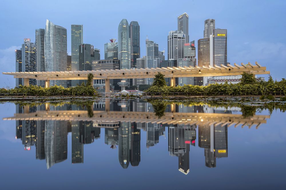 Photograph by PARTHA ROY