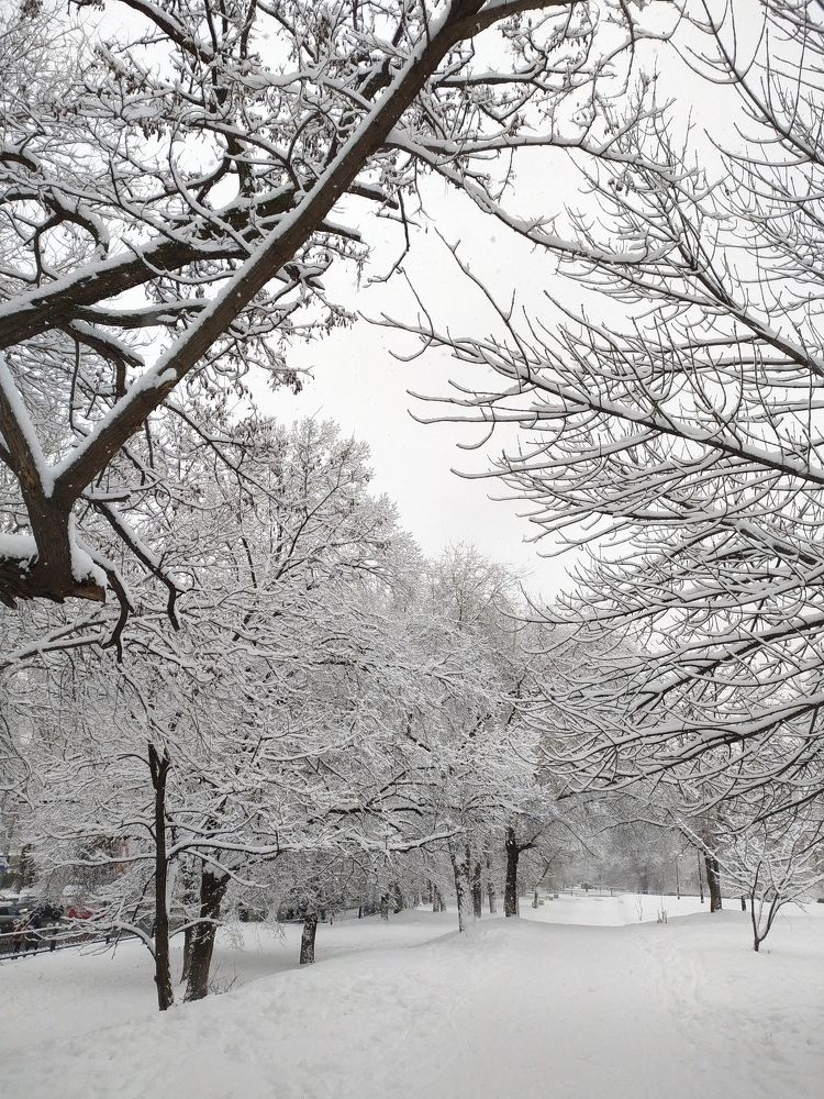 Photograph by Анастасия Бовкунова