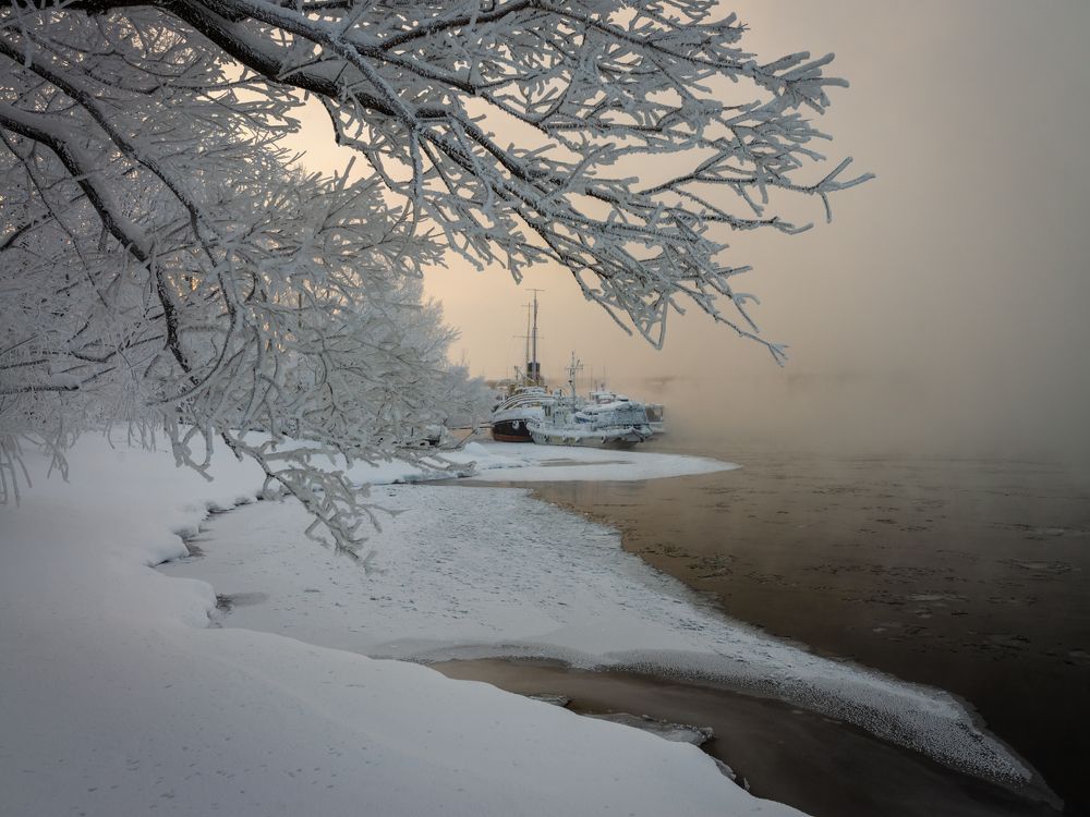 Photograph by Людмила