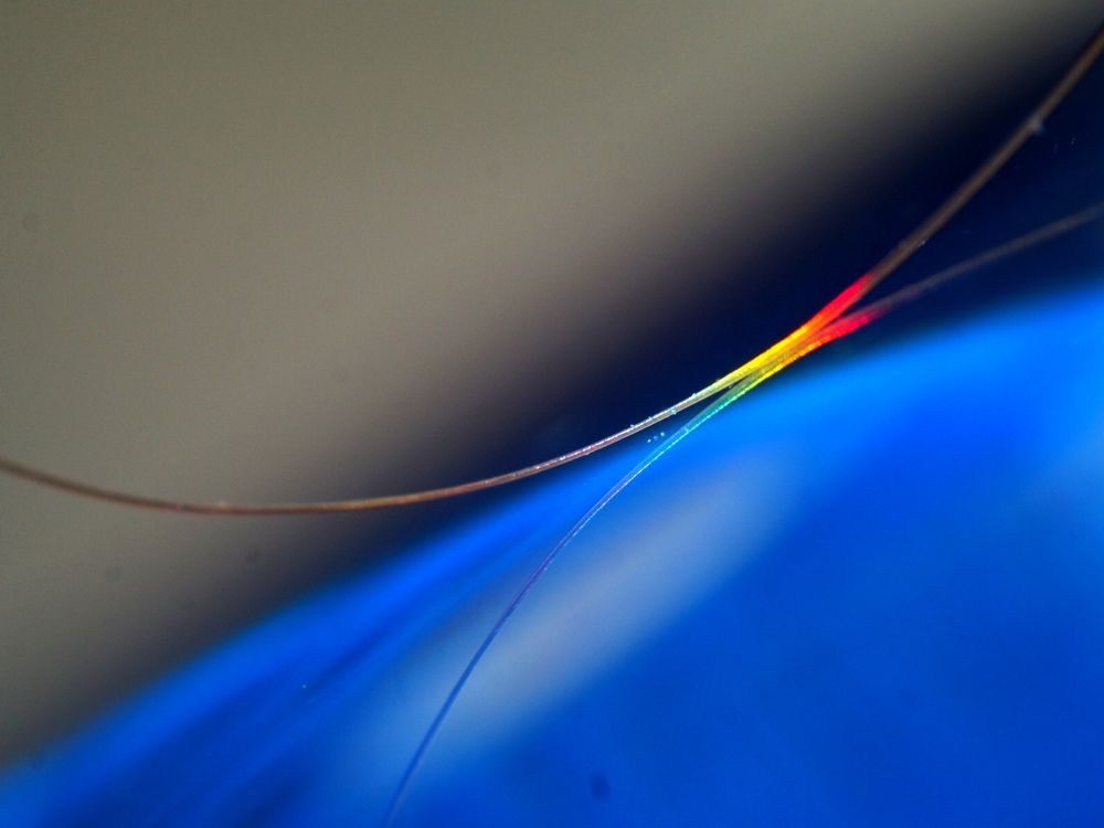 Photograph by Наталья