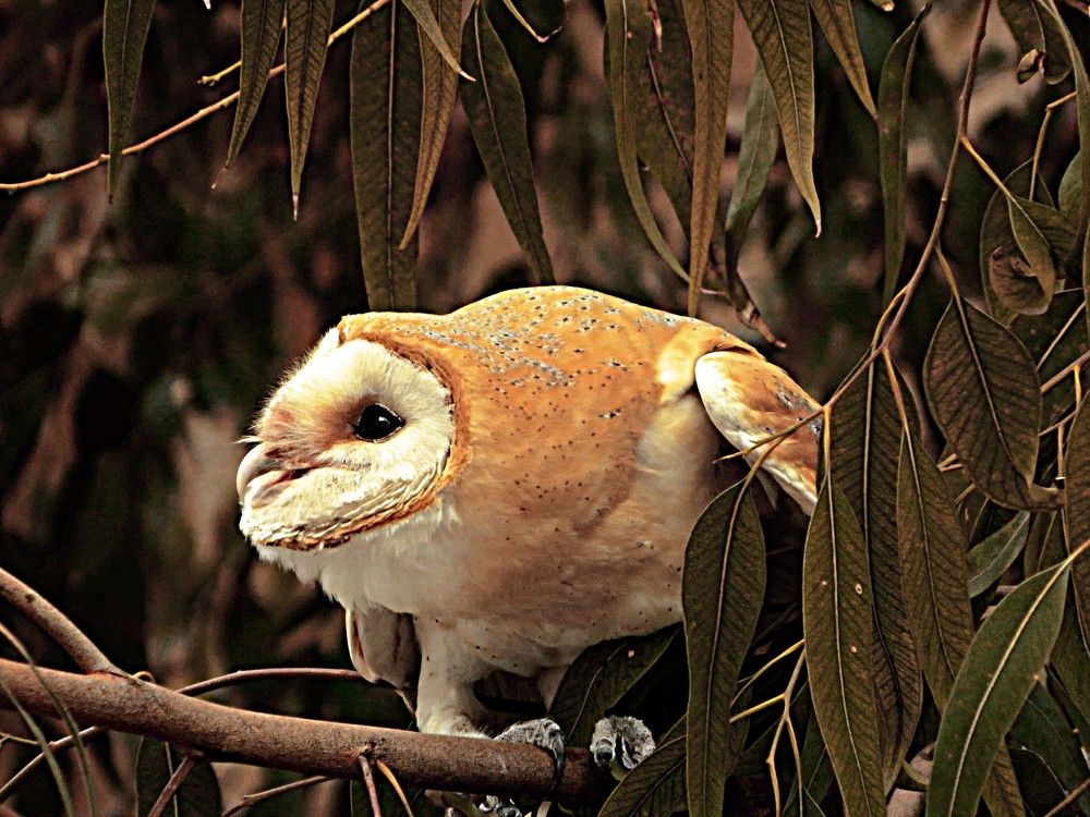 Photograph by Сергей Рапопорт