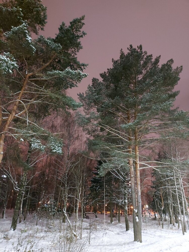 Photograph by Екатерина Мосевич