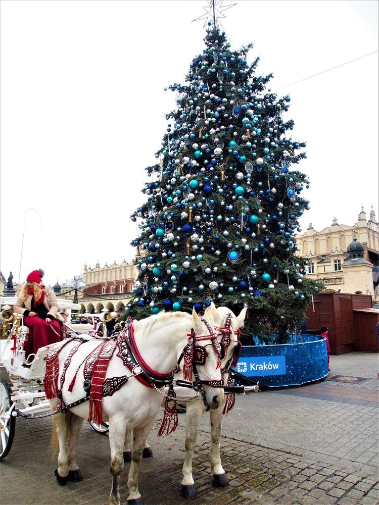 Photograph by Vital Moravsky